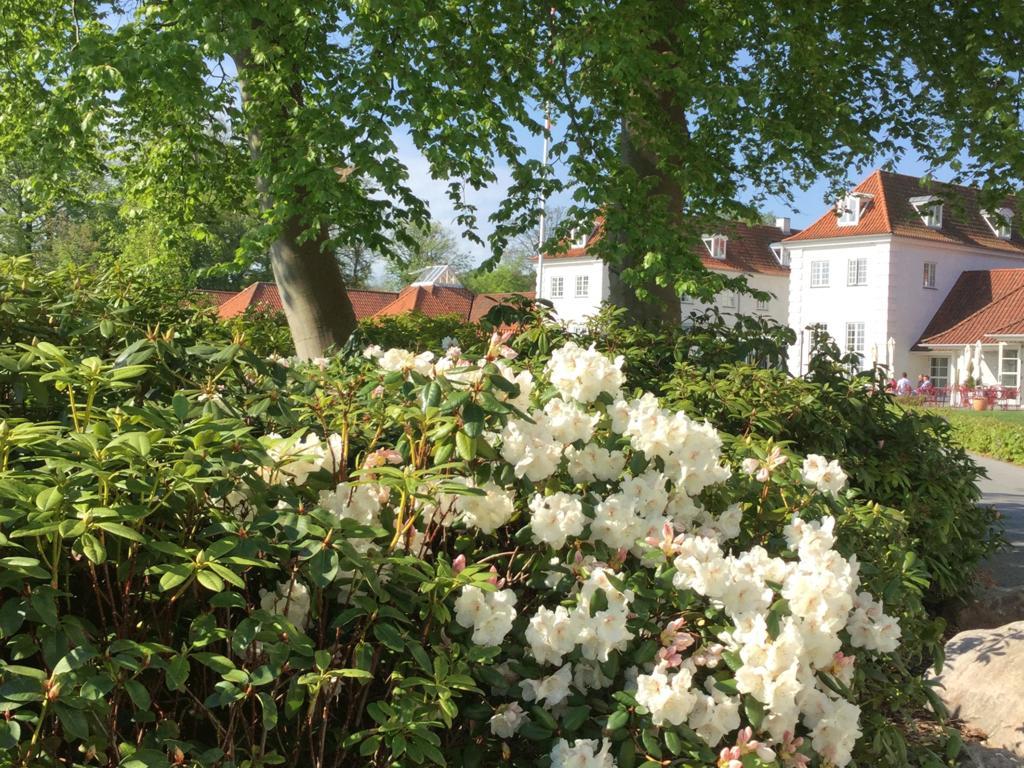 Отель Rungstedgaard Экстерьер фото